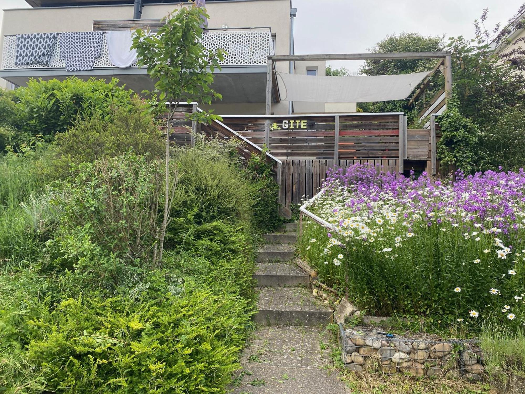 Gites D'Illfurth Exterior foto
